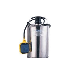 Máy bơm chìm Forerun 2SS 750